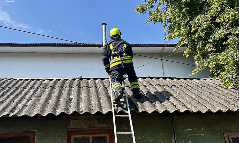 Буковинські надзвичайники врятували пухнастика