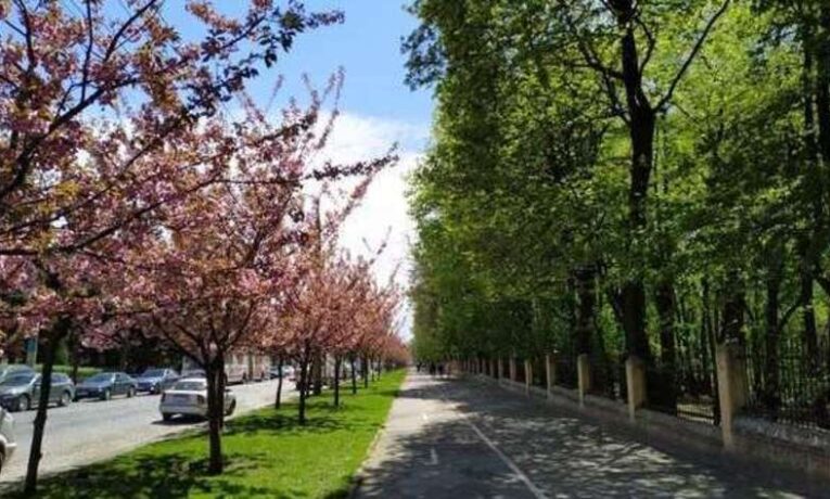 Чернівецька міськрада розірвала договір на понад 3 мільйони з підрядником