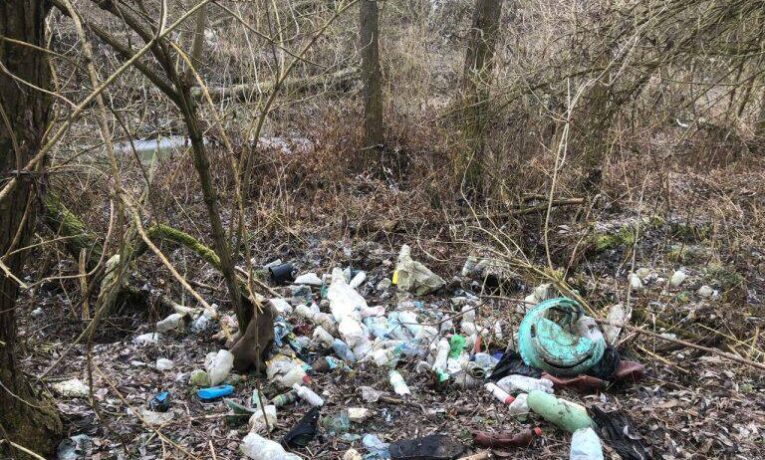 У громаді Буковини стихійне сміттєзвалище завдало державі понад 1,2 млн грн збитків