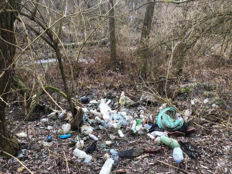 У громаді Буковини стихійне сміттєзвалище завдало державі понад 1,2 млн грн збитків