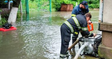 Розмиті дороги, повалені дерева та затоплені підвали – рятувальники показали наслідки негоди на Буковині
