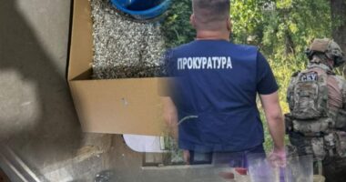 На Буковині викрили підпільну нарколабораторію: вилучено 90 кг напівфабрикату амфетаміну