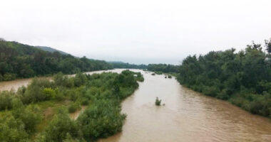 На міському пляжі Чернівців виявили порушення норм якості води