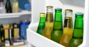У Чернівцях під час перевірки харчоблоків дитячих садочків у холодильниках знайшли пиво