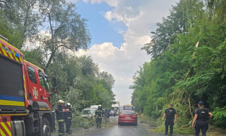 Повалені дерева, села без світла: на Буковині буревій наробив лиха (фото)