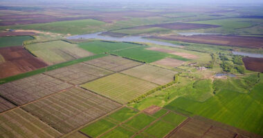На Буковині найнижча ціна за гектар землі серед інших областей