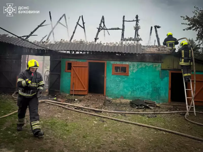На Буковині блискавка влучила в будинок. Виникла пожежа