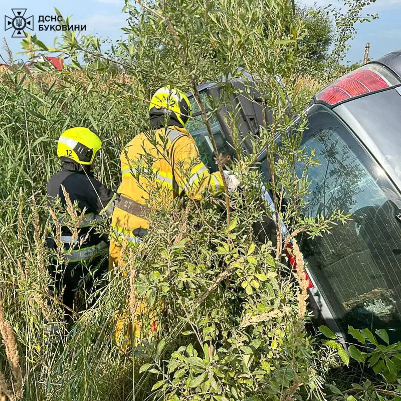 На Буковині авто злетіло з дороги і перекинулося