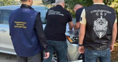На Буковині приватне лісозаготівельне підприємство підозрюють у контрабанді деревини