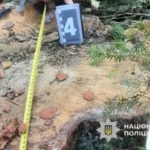 На Буковині судитимуть чоловіка за незаконну порубку 14 буків