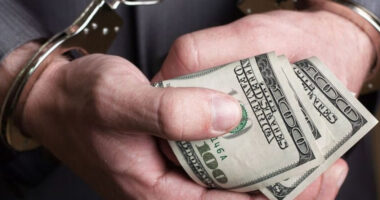 Керівника житлово-будівельного кооперативу на Буковині підозрюють в ухиленні від сплати понад 10 млн грн податків