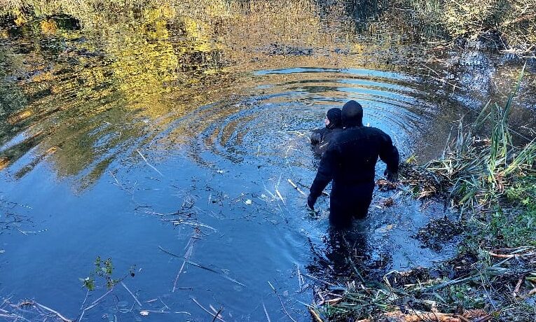 У Череші в Чудейській громаді втопився чоловік: рятувальники дістали тіло з водойми
