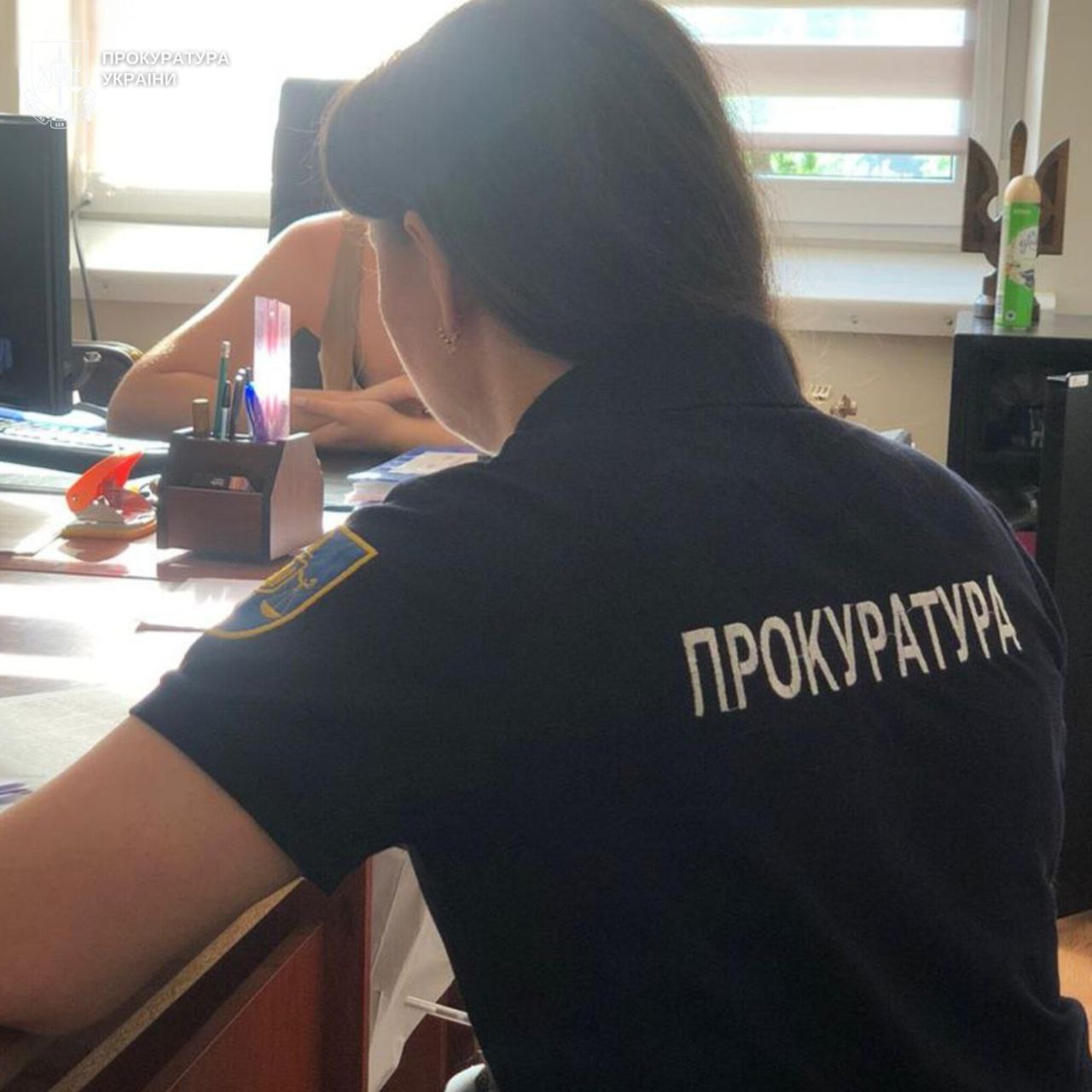 На Буковині судитимуть посадовицю сільради за розтрату понад 250 тисяч гривень при ремонті укриття дитсадка