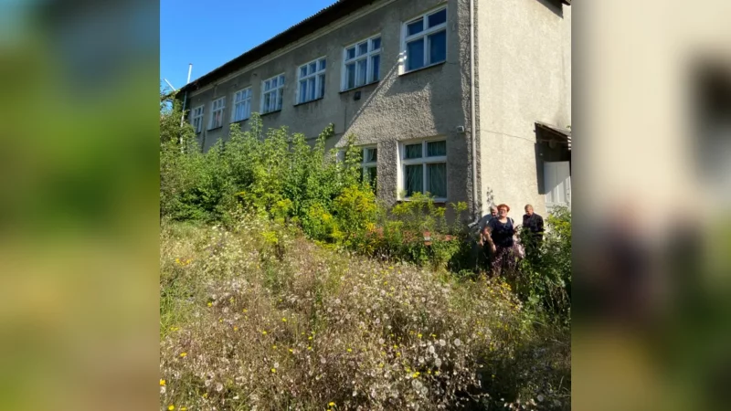На Буковині за майже 2 млн гривень продають будівлю ветеринарної лабораторії