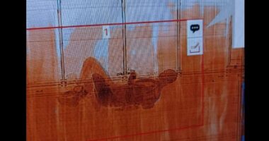 На Буковині на кордоні серед підгузників виявили сирійця