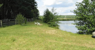 Суд зобов’язав селищну раду на Буковині визначити статус 40 гектарів самозалісених земель