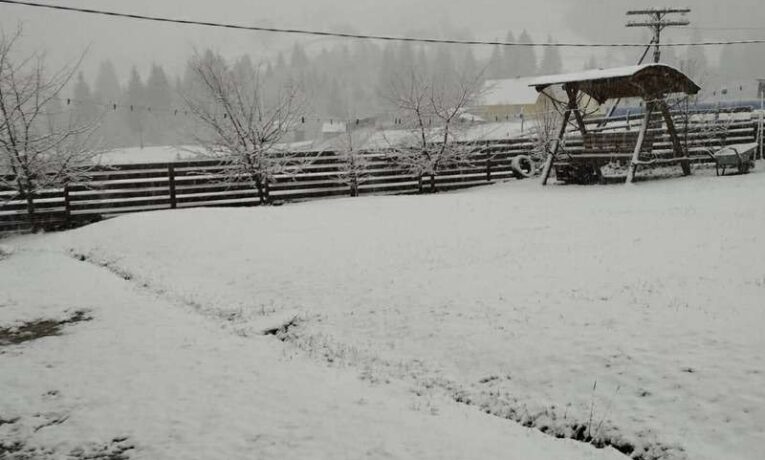 У буковинських Карпатах випав сніг