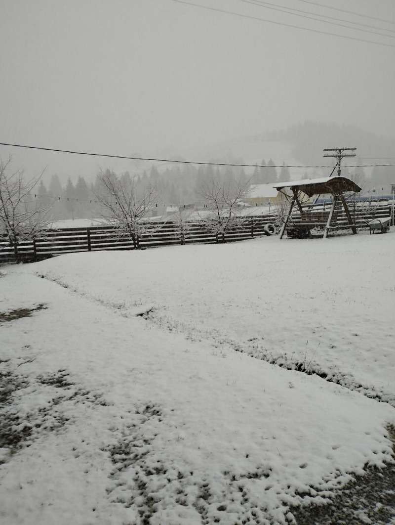 У буковинських Карпатах випав сніг