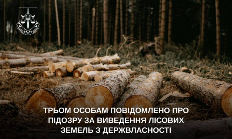 Під Буковелем незаконно вивели з держвласності 6 га лісу: повідомлено про підозру трьом особам