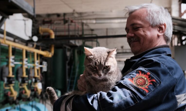 У Чернівцях запрацювали майже всі котельні: одну зупинили через підозру на витік