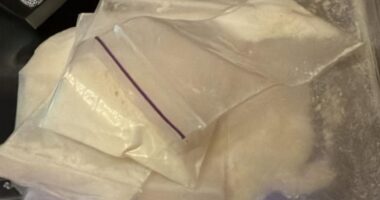 На Буковині судитимуть двох чернівчан, які виготовляли та збували амфетамін