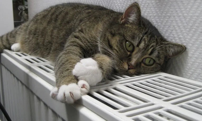 Стало відомо, коли планують розпочати опалювальний сезон для житлових будинків у Чернівцях