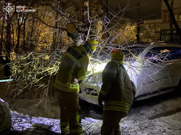 Рятувальники ліквідували наслідки негоди на Буковині (фото)