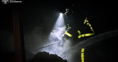 У селі Замостя на Буковині сталася масштабна пожежа на птахофермі: згоріли п’ять тисяч курей (фото)