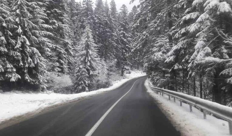 У Карпатах планують збудувати нову дорогу до курорту “Буковель”