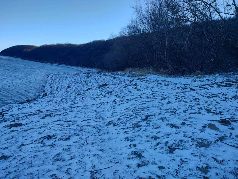 Рівень Дністра на Буковині критично знизився