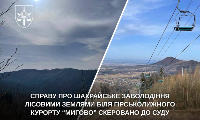 На Буковині судитимуть учасників схеми із привласнення лісових земель біля «Мигового»