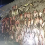 На Буковині судитимуть двох чоловіків за браконьєрство у заповідній зоні зі збитками понад 1,7 млн грн