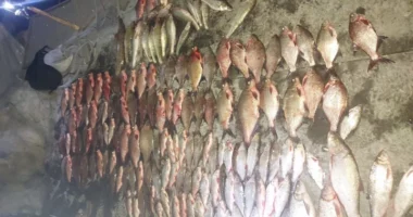 На Буковині судитимуть двох чоловіків за браконьєрство у заповідній зоні зі збитками понад 1,7 млн грн