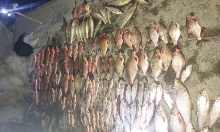 На Дністровському водосховищі впіймали браконьєра: завдав збитків майже на 390 тисяч гривень