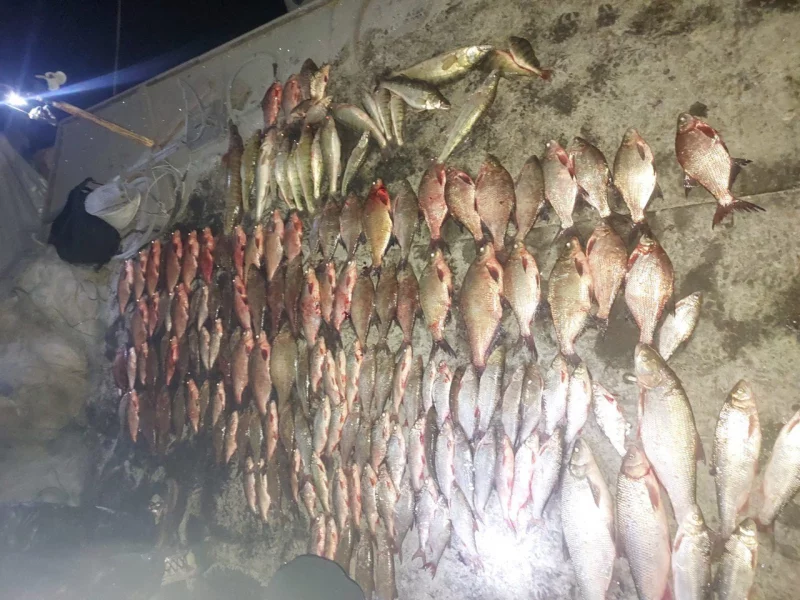 На Дністровському водосховищі впіймали браконьєра: завдав збитків майже на 390 тисяч гривень