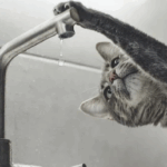 У центрі Чернівців сьогодні тимчасово відключили водопостачання