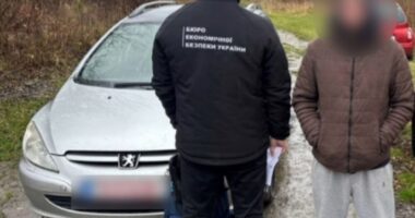 Ввезення авто для продажу під виглядом гумдопомоги: на Буковині викрили схему ухилення від митних платежів