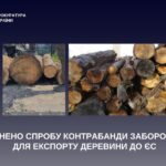 На Буковині зупинили спробу контрабанди забороненої для експорту деревини до ЄС