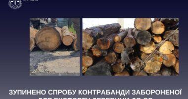 На Буковині зупинили спробу контрабанди забороненої для експорту деревини до ЄС