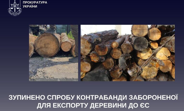 На Буковині зупинили спробу контрабанди забороненої для експорту деревини до ЄС