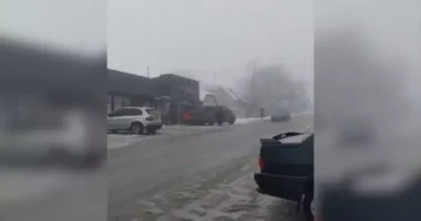 На Буковині сталася бійка між прикордонниками та цивільними: мер Сокирян заявив про свавілля, прикордонники — заперечують