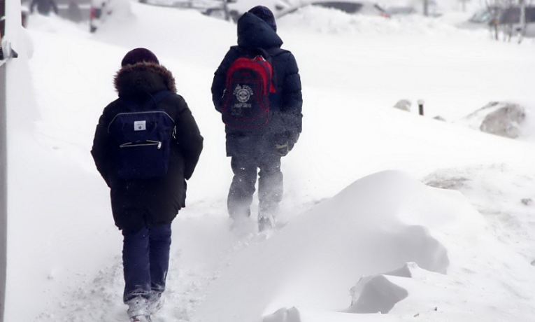 У п’ятьох школах Чернівців тимчасово перейшли дистанційне навчання