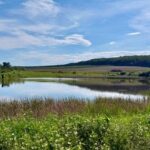 У Чернівцях вперше через аукціон здали в оренду три ставки: місто отримало майже 200 тисяч гривень
