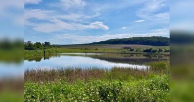 У Чернівцях вперше через аукціон здали в оренду три ставки: місто отримало майже 200 тисяч гривень
