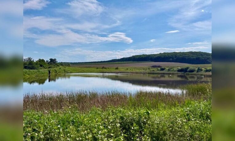 У Чернівцях вперше через аукціон здали в оренду три ставки: місто отримало майже 200 тисяч гривень