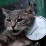 Надзвичайна ситуація на двох котельнях у Чернівцях: тимчасові перебої з теплопостачанням