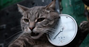 Надзвичайна ситуація на двох котельнях у Чернівцях: тимчасові перебої з теплопостачанням