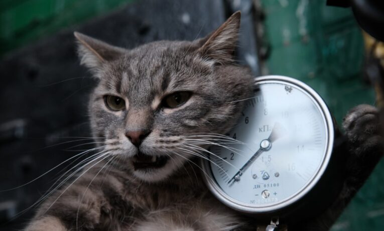 Надзвичайна ситуація на двох котельнях у Чернівцях: тимчасові перебої з теплопостачанням