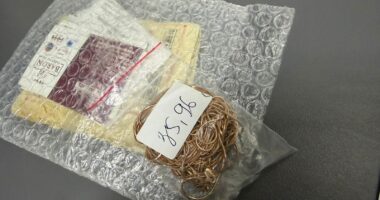 Шкарпетки “на вагу золота” і безцінний молитовник: чернівецькі митники викрили контрабанду на кордоні (відео)