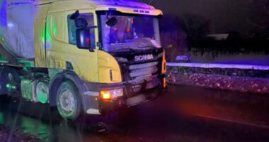 У Недобоївцях на Буковині водій вантажівки на смерть збив 84-річну жінку